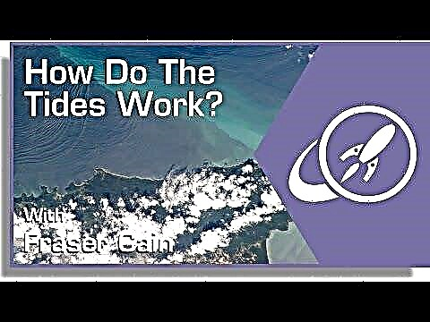 كيف يعمل المد والجزر؟