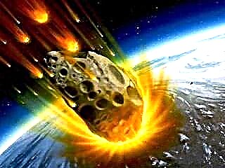 Wissenschaftler kommen zu einem Schluss: Asteroid hat die Dinosaurier getötet