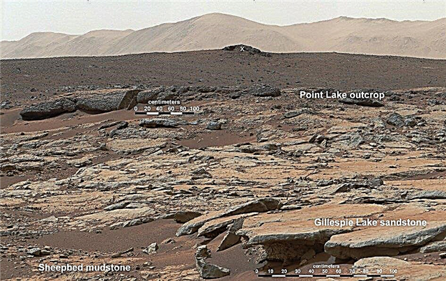 الفضول يكتشف أن بحيرة المريخ القديمة يمكن أن تدعم الحياة