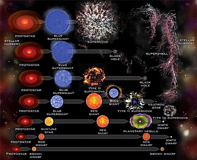 ما هي دورة حياة النجوم؟