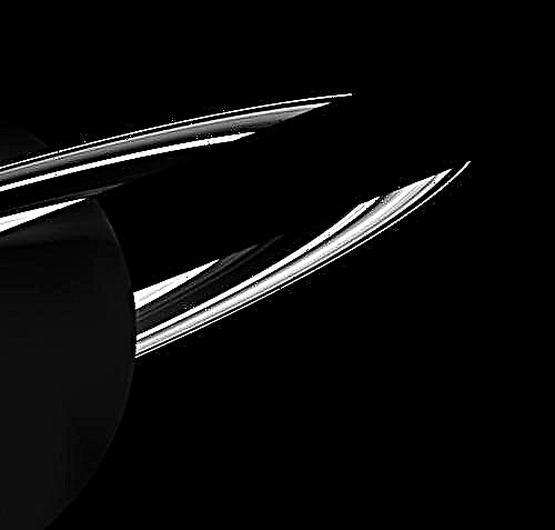 Cassini der Künstler: Schatten, Ringshine, Double Crescent Moons