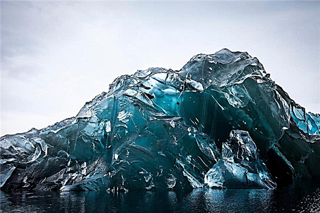 Imagini uimitoare ale fundului unui aisberg