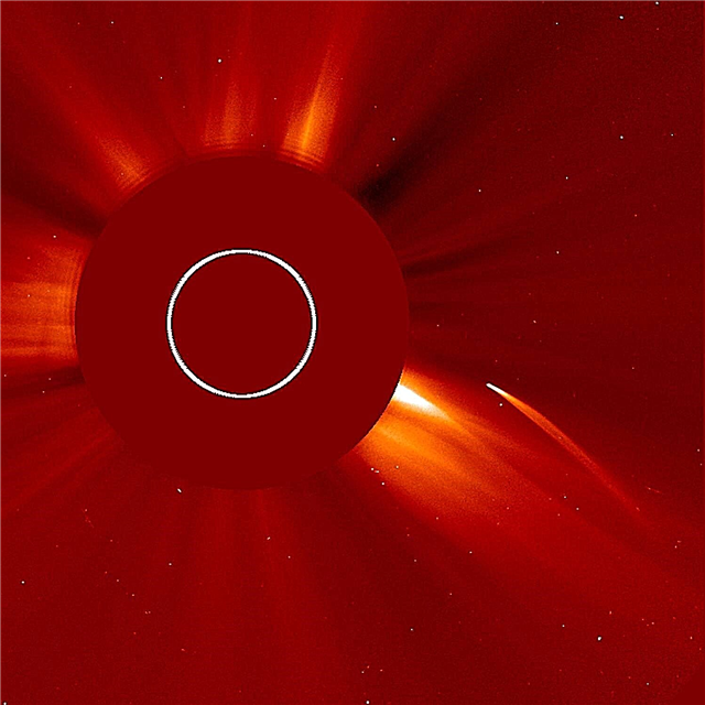 „SOHO Nears“ atrado 3000 kometų atradimų