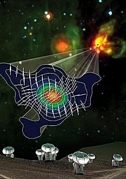 Magnetiske felter dominerer unge stjerner i alle størrelser?
