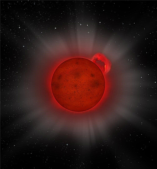 XMM Newton fängt einen winzigen Flare Star in Aktion