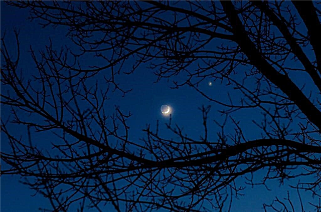 トワイライトトライスト：夕暮れの空で金星と海王星が出会う