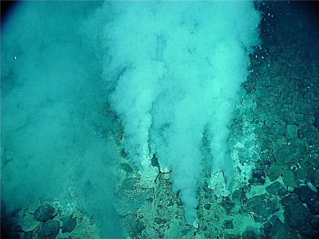 A vida no fundo do mar prediz a vida em outros mundos?