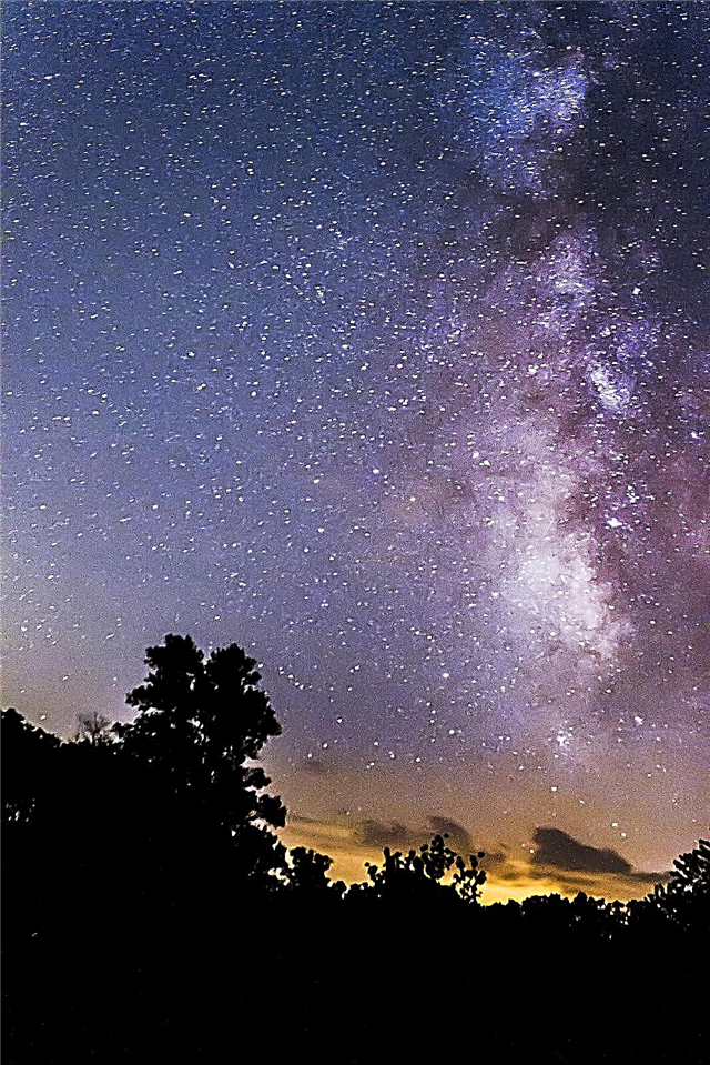 Astrofotografía: La Vía Láctea sobre el Parque Estatal Panther Creek
