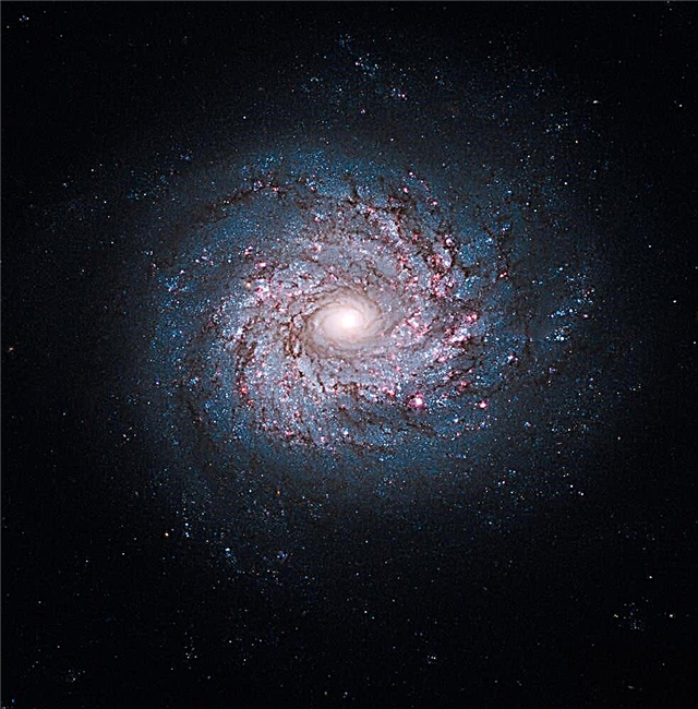 Hubble gira a roda no nascimento da estrela