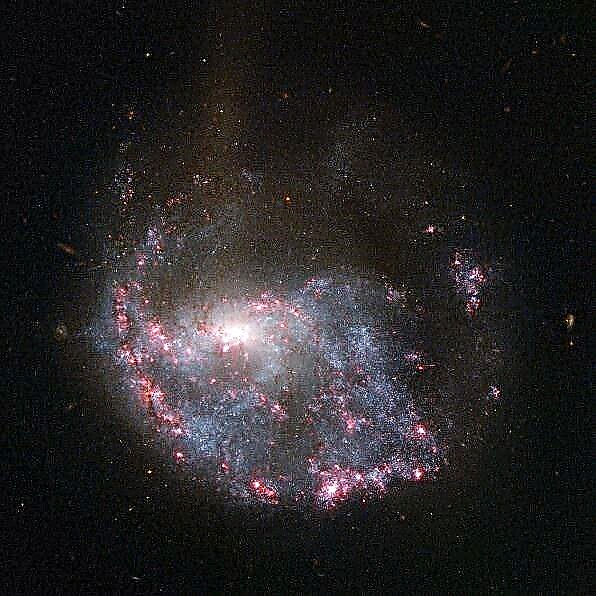 نتائج سماكدوون المجرة الوردية في عين الثور الكونية