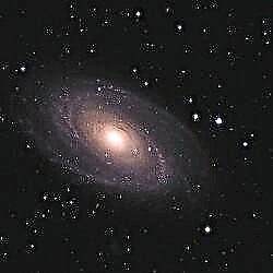 Astropoto: M-81 af Tom Davis