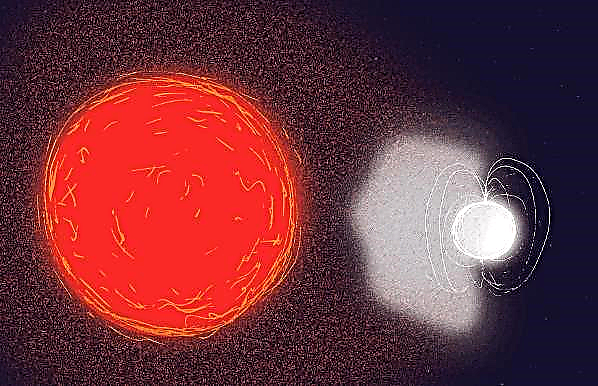 Astronomii văd o stea moartă care revine la viață datorită unei stele donatoare