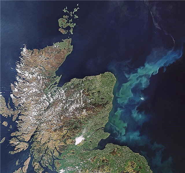 Фитопланктонният цъфтеж изригва в Северно море