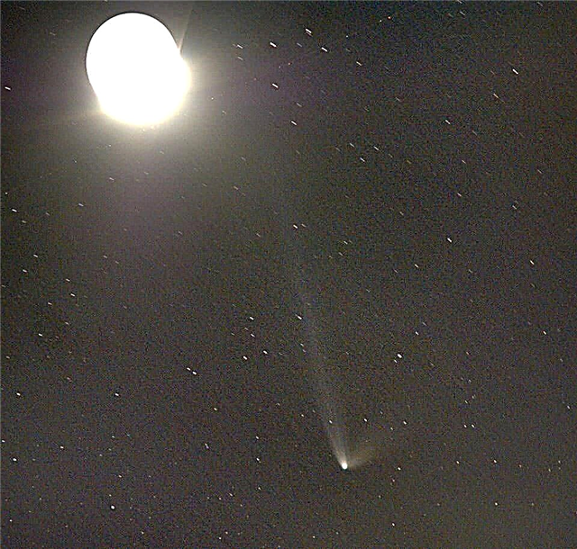 Der dreischwänzige Komet Q1 PanSTARRS beleuchtet den südlichen Himmel