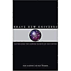 Recensione del libro: Brave New Universe