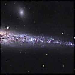 Astrofotografi: NGC 4631 av Bernd Wallner