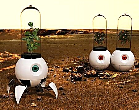 Disegni futuri: Robotic Mars Greenhouse, Frigo di teletrasporto
