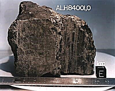 Allen Hills Meteorite의 새로운 발견은 미생물의 삶을 가리킨다