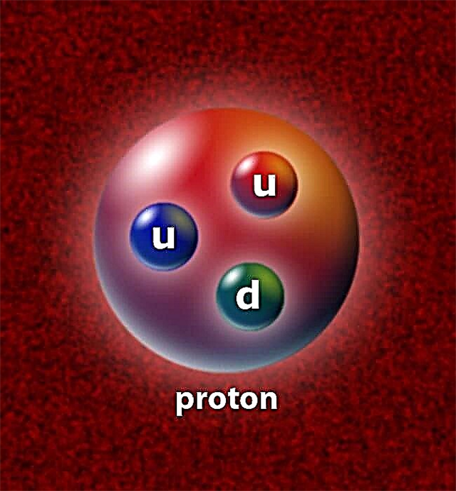 Protonu daļas