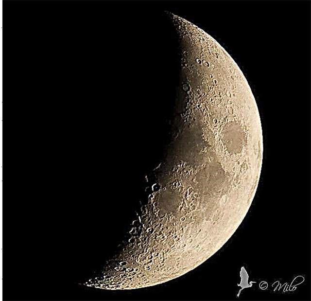 Heb je een excuus nodig om naar de maan te staren? International Observe the Moon Night komt eraan!