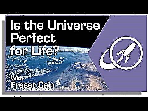 Is het universum perfect voor het leven?