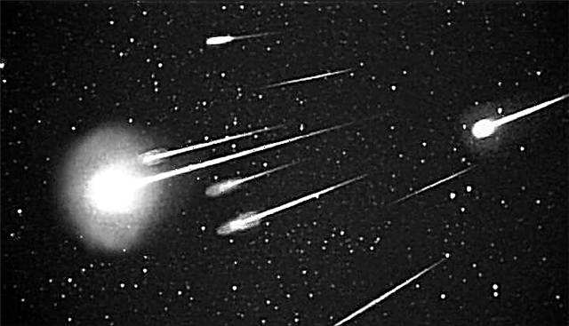 Leonid Meteor Shower Peaks - 17. til 19. november 2011