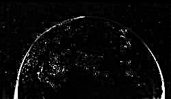 रोसेटा फ्लाईबी पृथ्वी की नाइट साइड को दर्शाता है