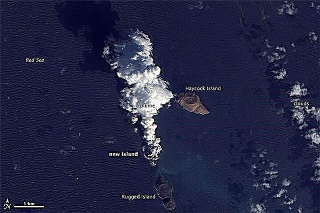 Som set fra rummet: Vulkanudbrud skaber New Island i Røde Hav
