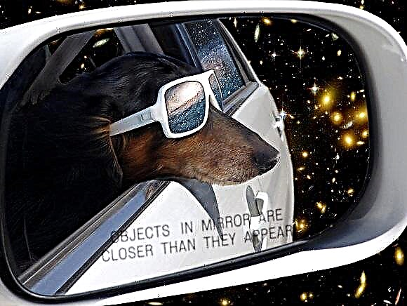 Battlestar Photoshopica: Otto reist naar Pluto