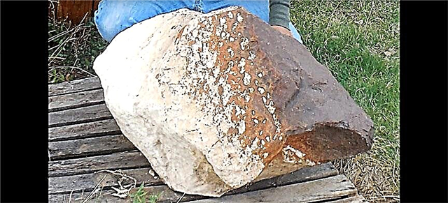 Quái vật thiên thạch được tìm thấy ở Texas