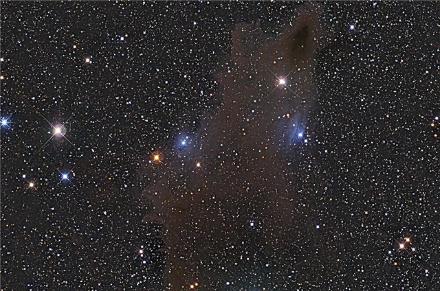 Revelando lo no descubierto: Van Den Bergh 149/50 y Lynds Dark Nebula 1235 por Tom Davis