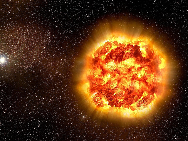 Supernova, ki je 2,6 milijona let pred tem lahko odstranila velike živali oceana
