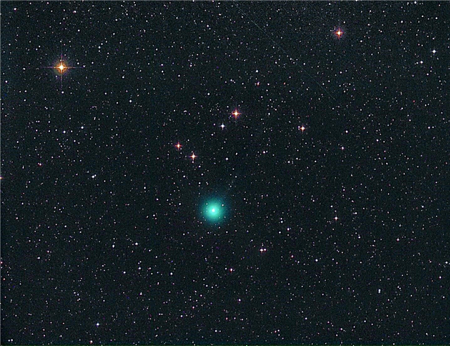 Comet U1 NEOWISE: En möjlig kikare-komet?