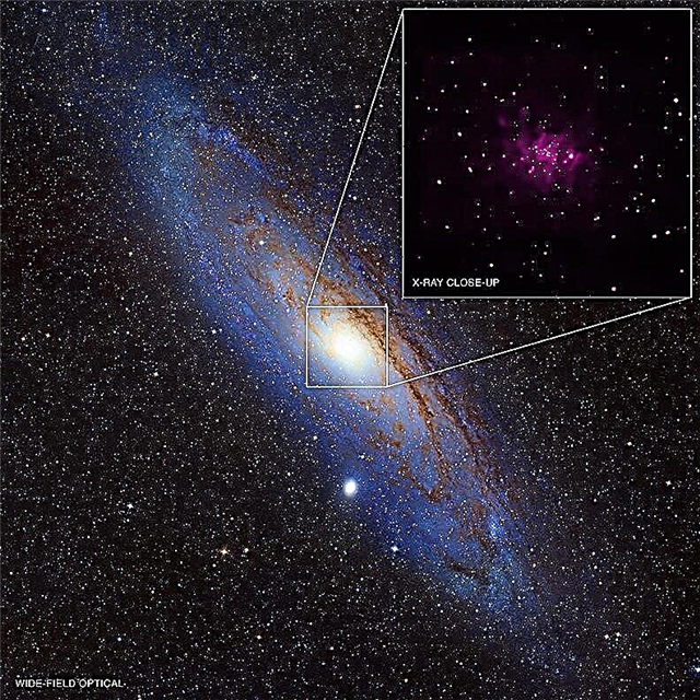 Black Hole Bonanza! Des dizaines (potentiellement) trouvées à Andromède comme une autre étude sonde les rayons X