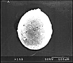 Micrometeorito inusual encontrado en la Antártida