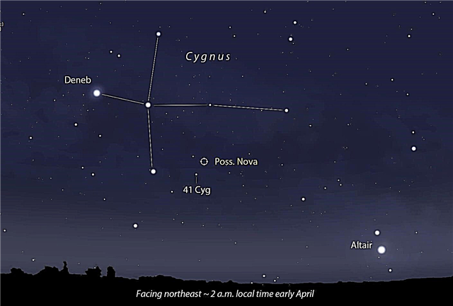 Posibile Nova Pops în Cygnus