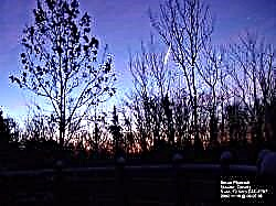 Camelopardalid en March Geminid Meteor Showers Peak op 22 maart