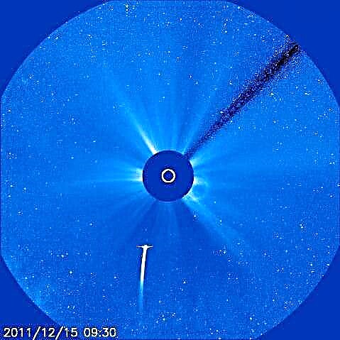Titta när Comet Lovejoy tar ett dödsdyk in i solen