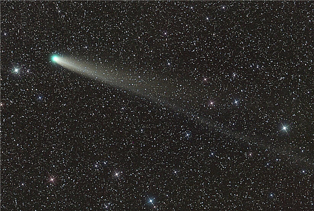 Kometenaussichten für 2014: Ein Blick in die Kristallkugel