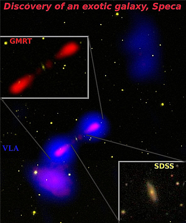 Nueva y rara galaxia revela secretos del jet del agujero negro