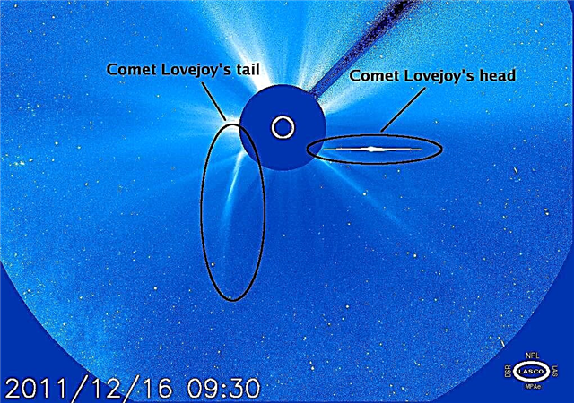 Feisty komeetta Lovejoy selviytyy lähellä aurinkoa