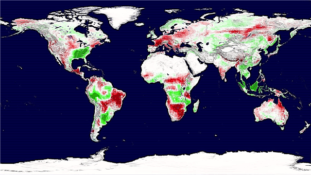 위성 데이터 쇼 식물 성장 지구에서 감소