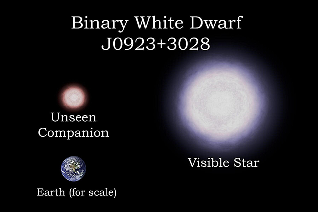 Do sao lùn trắng Puny tạo ra siêu sao Wimpy?