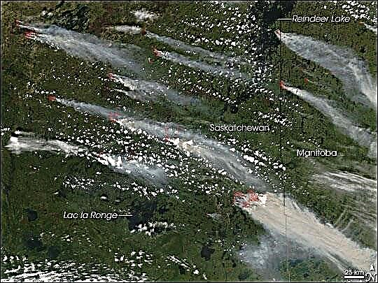 Los satélites vigilan los incendios forestales en todo el mundo