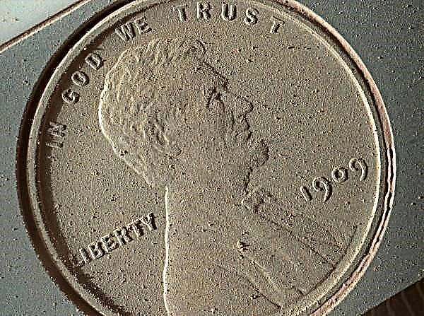 Un centavo por tus pensamientos marcianos: así es como se ve una moneda después de 14 meses en el planeta rojo