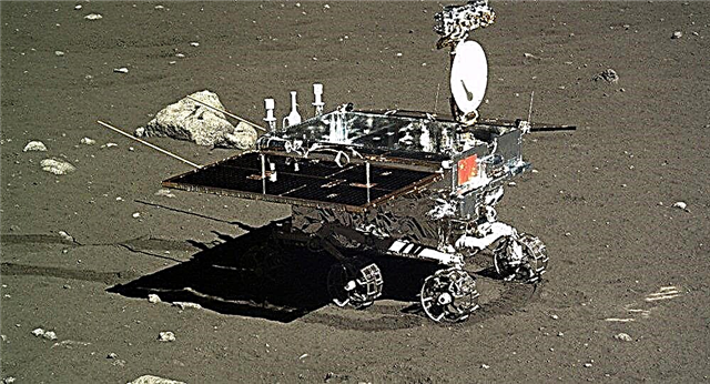 ستحمل Lander الصينية القادمة الحشرات والنباتات إلى سطح القمر
