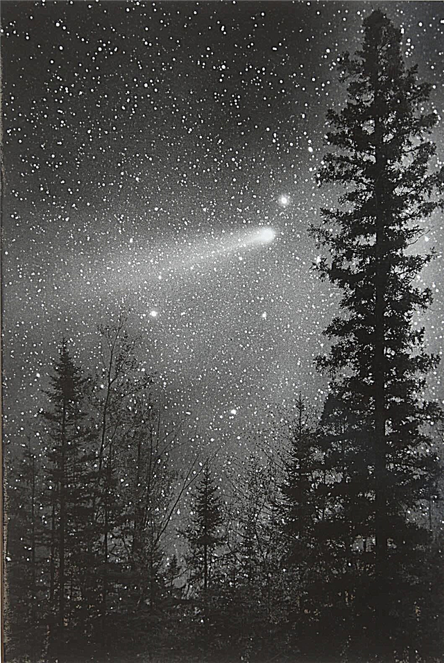 Lisää todisteita siitä, että komeetat ovat saattaneet tuottaa elämää maan päälle