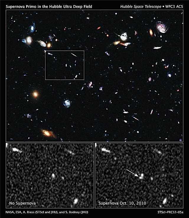 Supernova Primo - Fora das fronteiras longínquas