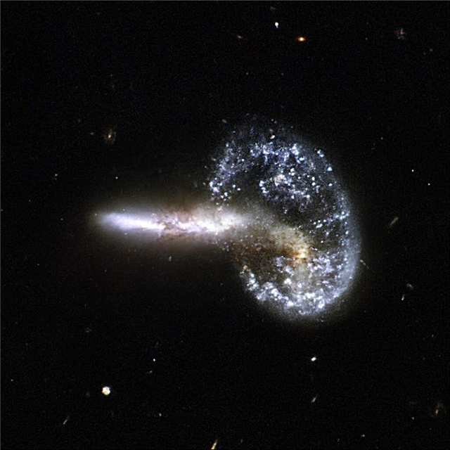 Nove Hubblove slike odkrivajo množico interaktivnih galaksij