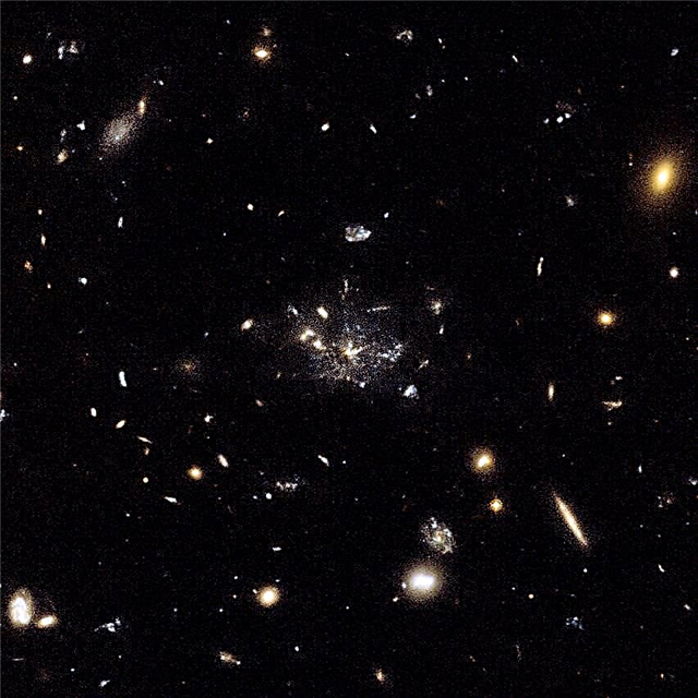 खगोलविदों स्पाई अर्ली आकाशगंगाओं को एक कॉस्मिक स्पाइडरवेब में पकड़ा गया